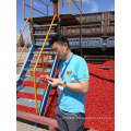 bulk Tomato paste in brix:36-38% in drum packing